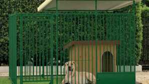 Уолтър за куче